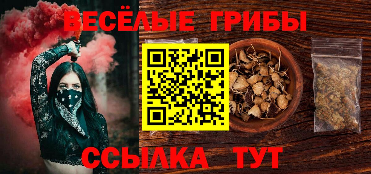 Псилоцибиновые грибы MAGIC MUSHROOMS Чайковский