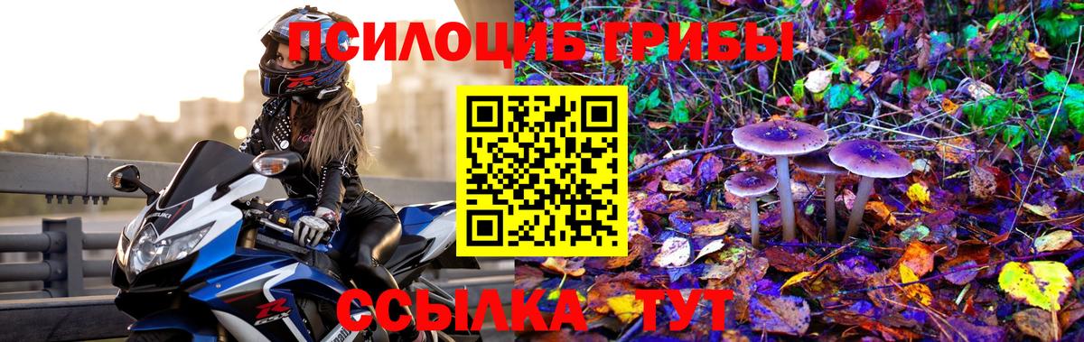 Галлюциногенные грибы мухоморы  Псилоцибиновые грибы Magic Shrooms  Вход с VPN  Чайковский 